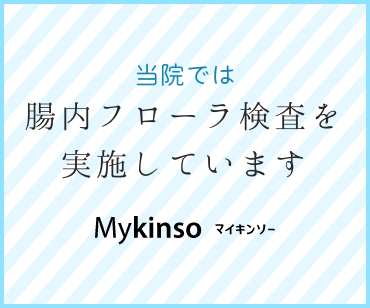 Mykinso マイキンソー